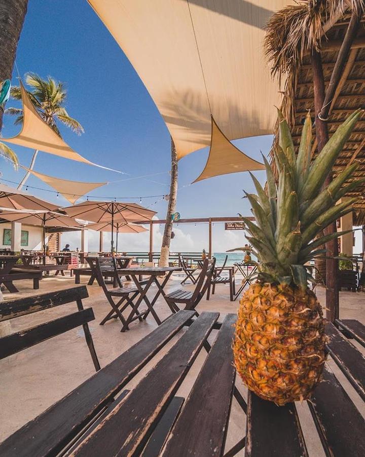 Capri Beach House 蓬塔卡纳 外观 照片